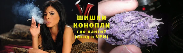 дурь Новодвинск