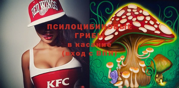 шишки Абдулино