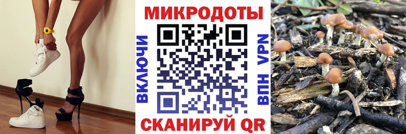 Галлюциногенные грибы Psilocybe  как найти закладки  Исилькуль 